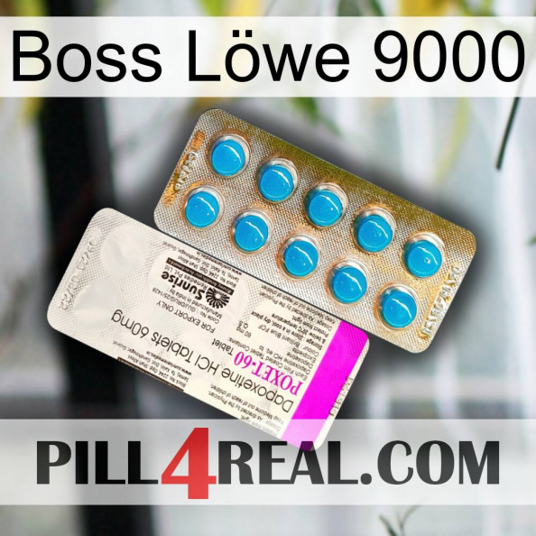 Boss Löwe 9000 new07.jpg